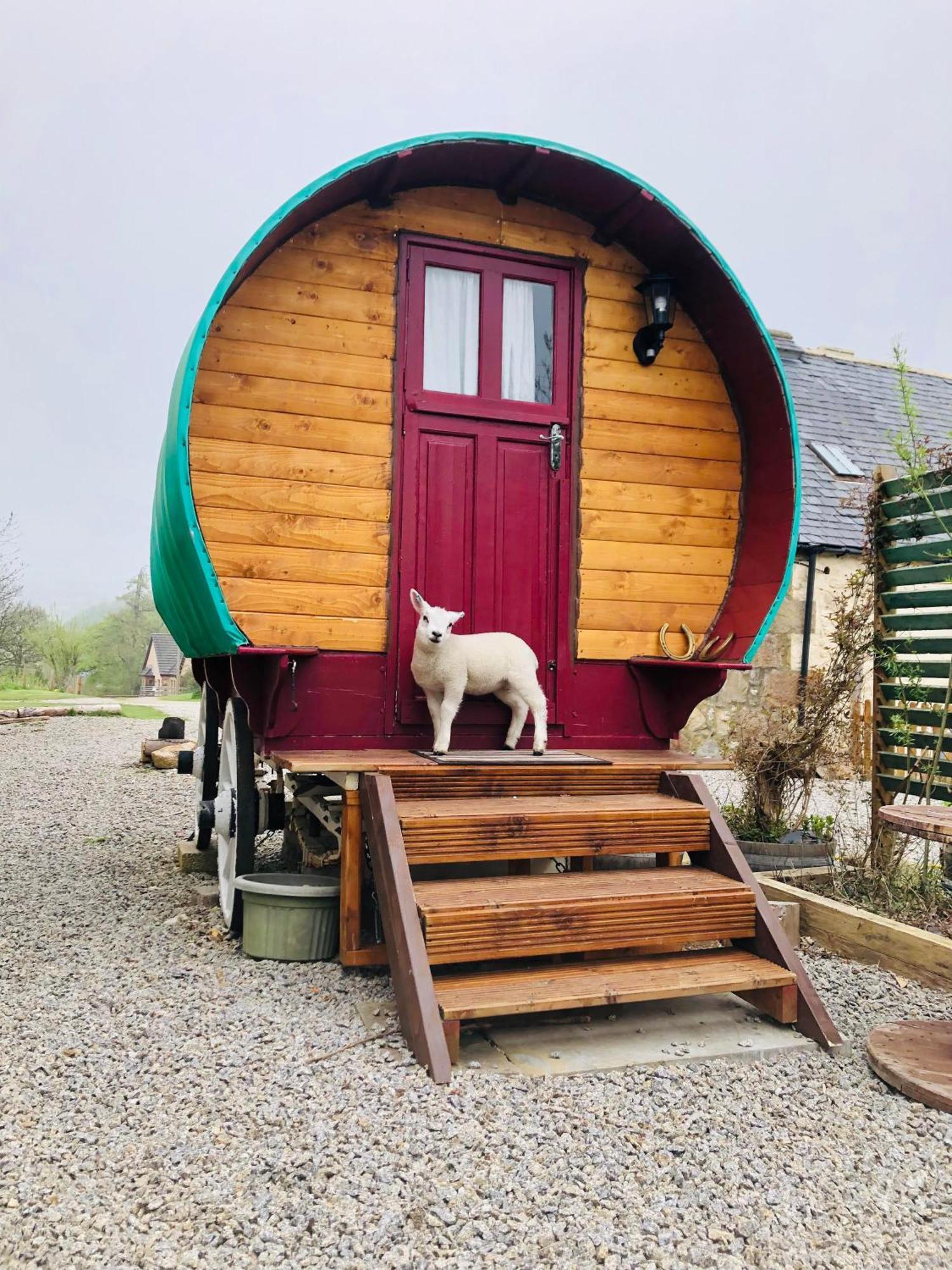 Bowtop Wagon At Lettoch Farm Keith Bagian luar foto
